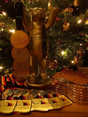 Fast alle Medaillen und Auszeichnungen vor dem heimischen Weihnachtsbaum versammelt.